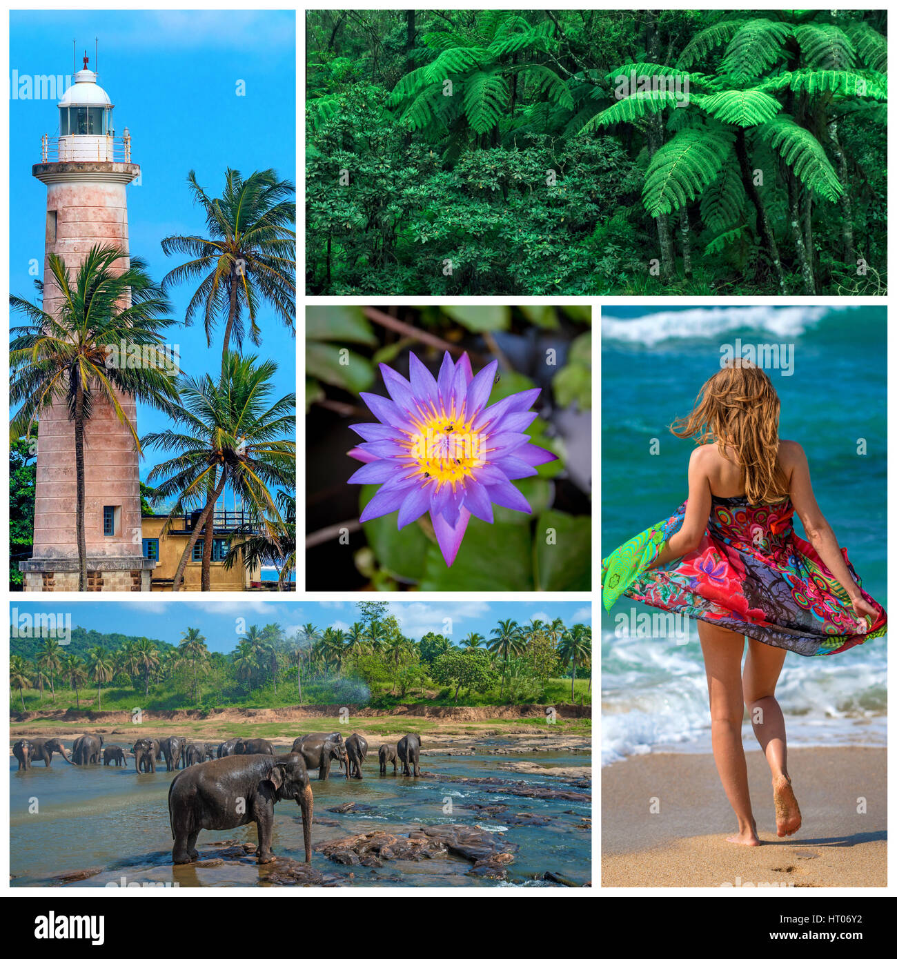 Sri Lanka collage di viaggio Foto Stock