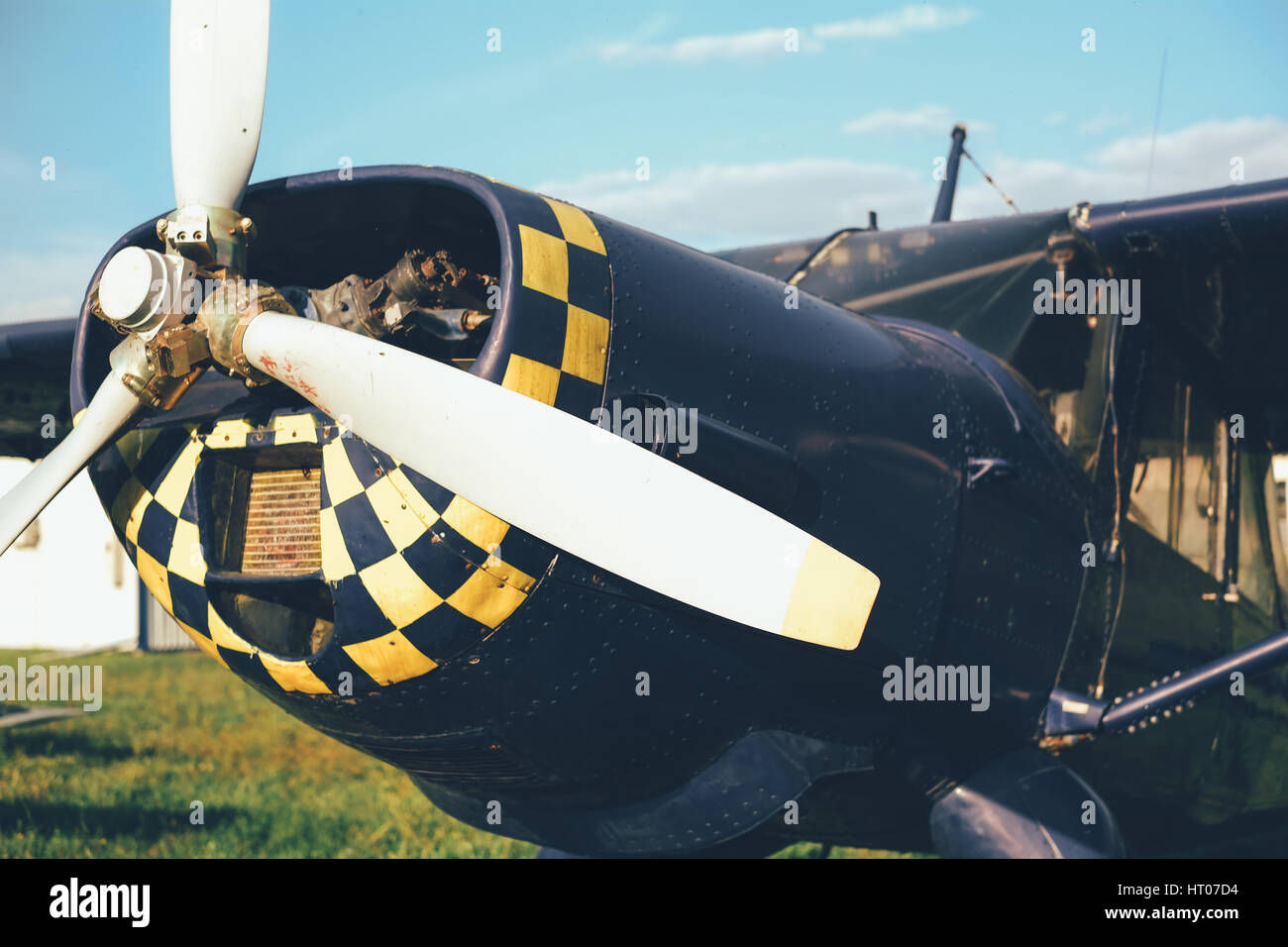 Elica dell'aereo blu sul prato del campo di aviazione Foto Stock