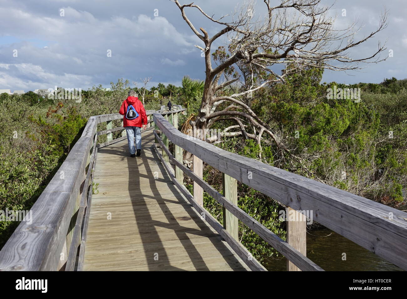 Gli escursionisti sul lungomare a Betty Steflik Memorial preservare, Flagler Beach, Florida Foto Stock