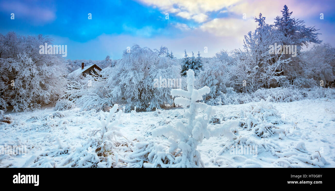 Bellissimo paesaggio invernale nelle montagne dei Carpazi nei pressi di Pezinok, Slovacchia Foto Stock