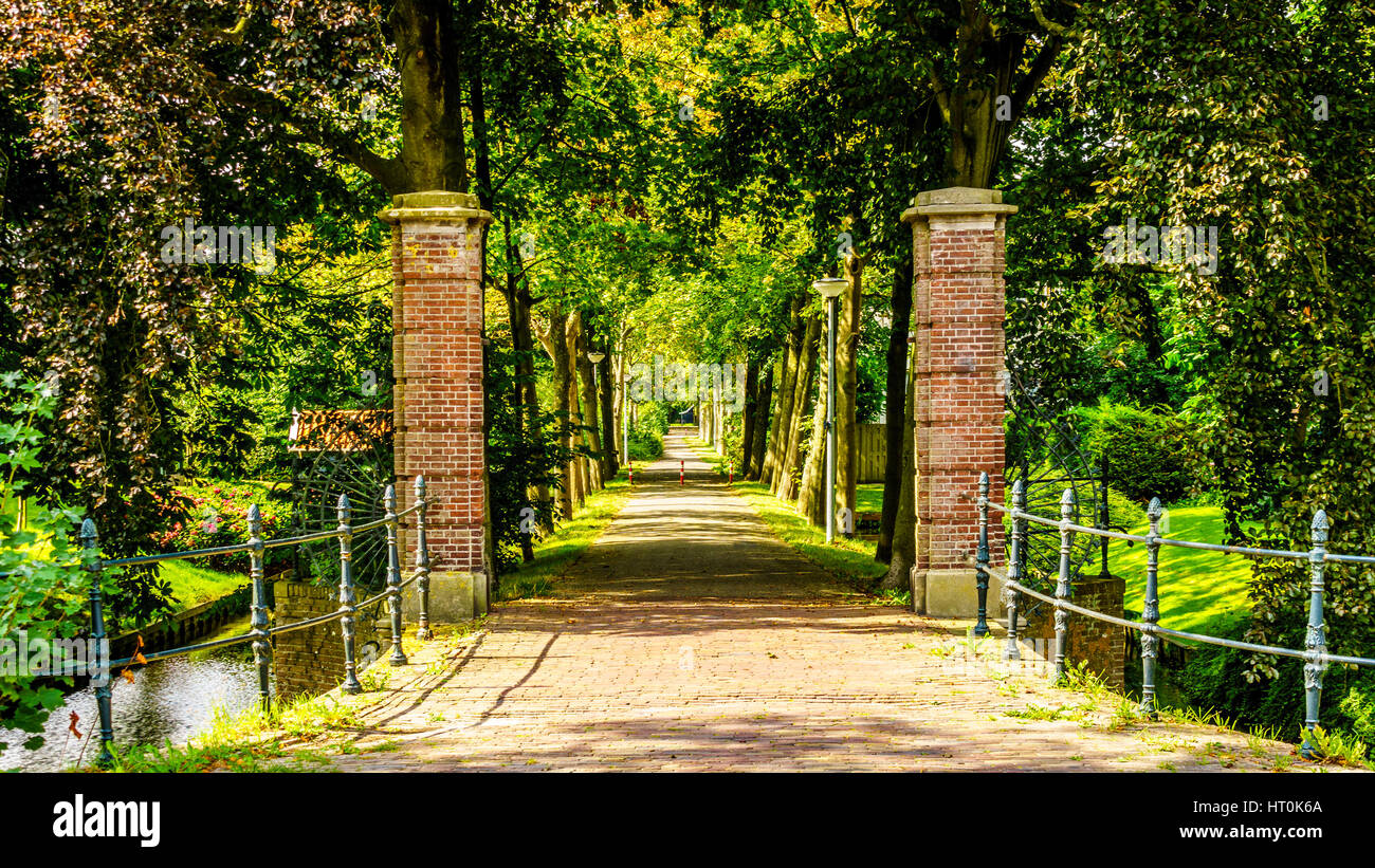 In mattoni posti di Gate e alberata lane in un podere nel villaggio storico di Midden Beemster nel Beemster Polder in Paesi Bassi Foto Stock