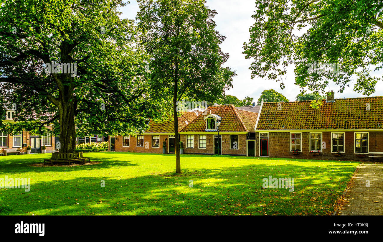 Cortile con erba e vecchie querce e castagni nel villaggio storico di Midden Beemster nel Beemster Polder in Paesi Bassi Foto Stock