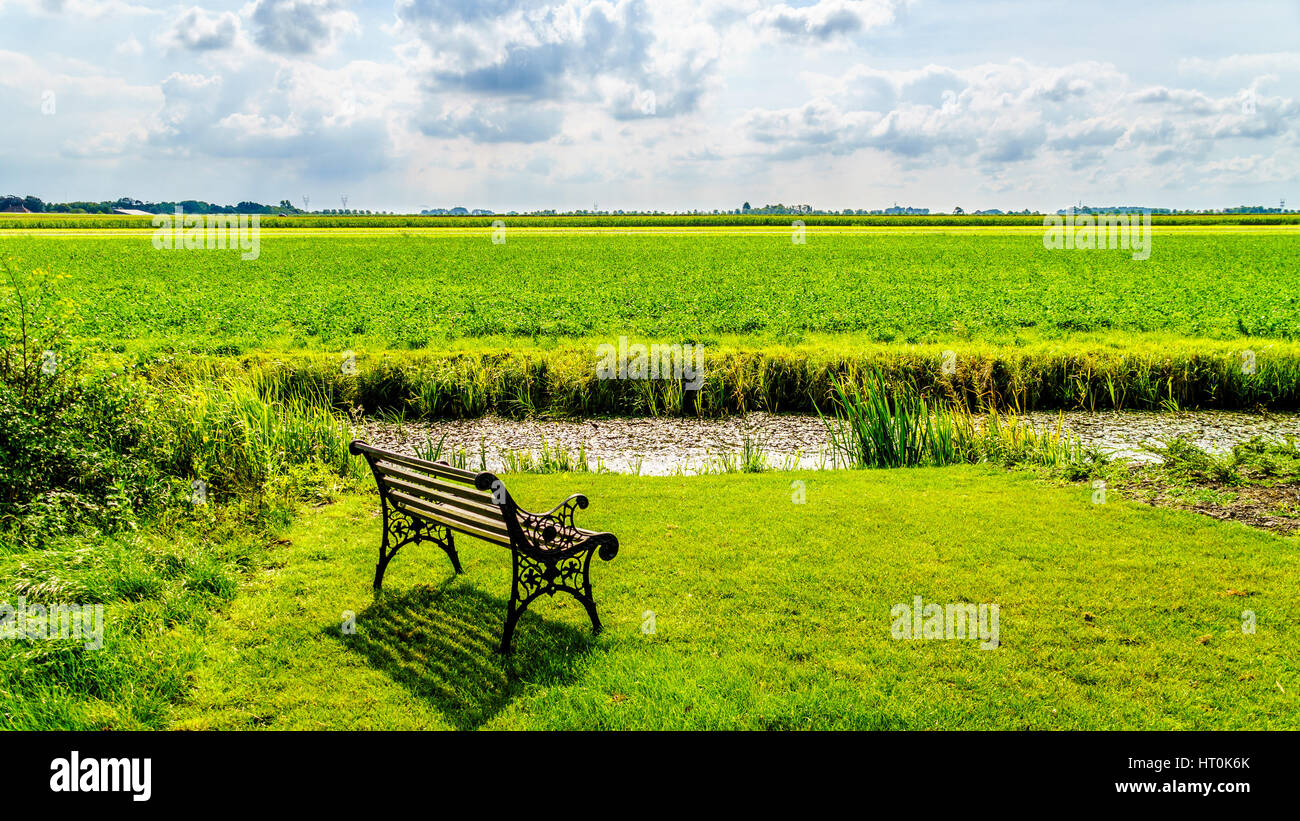 Tipico paesaggio di polder presso il villaggio storico di Midden Beemster nel Beemster Polder in Paesi Bassi Foto Stock