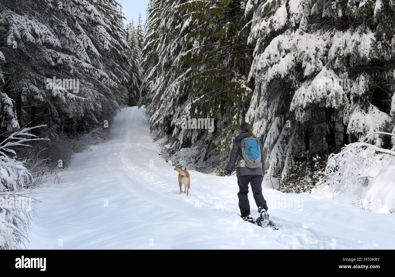 Donna con le racchette da neve con PET in foresta Foto Stock