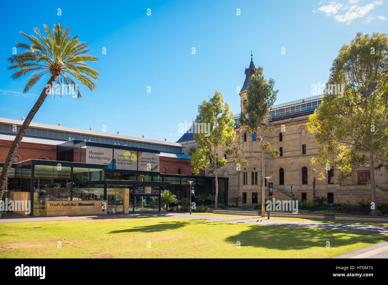 Adelaide, Australia - 11 Novembre 2016: South Australian Museum Situato sulla terrazza nord nel CBD di Adelaide in un giorno Foto Stock