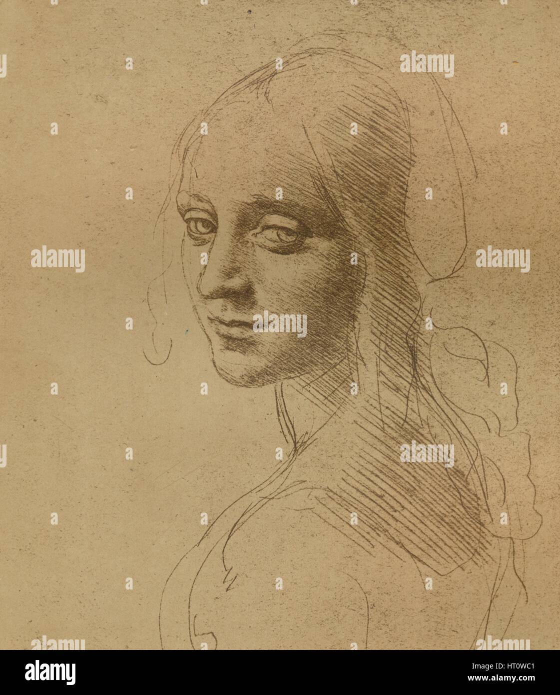 Una testa femminile, C1472-C1519 (1883), artista: Leonardo da Vinci. Foto Stock
