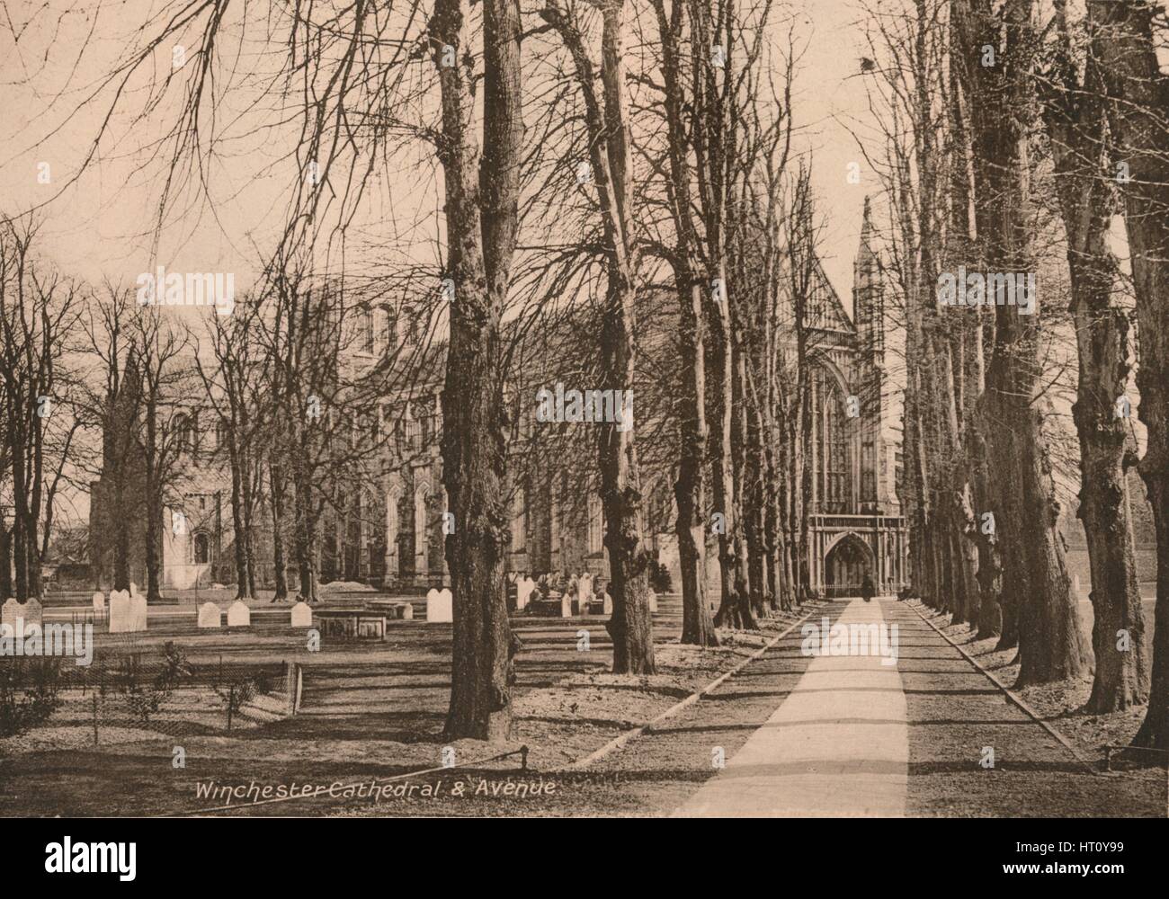 La Cattedrale di Winchester e Avenue, Hampshire, nei primi anni del XX secolo(?). Artista: sconosciuto. Foto Stock