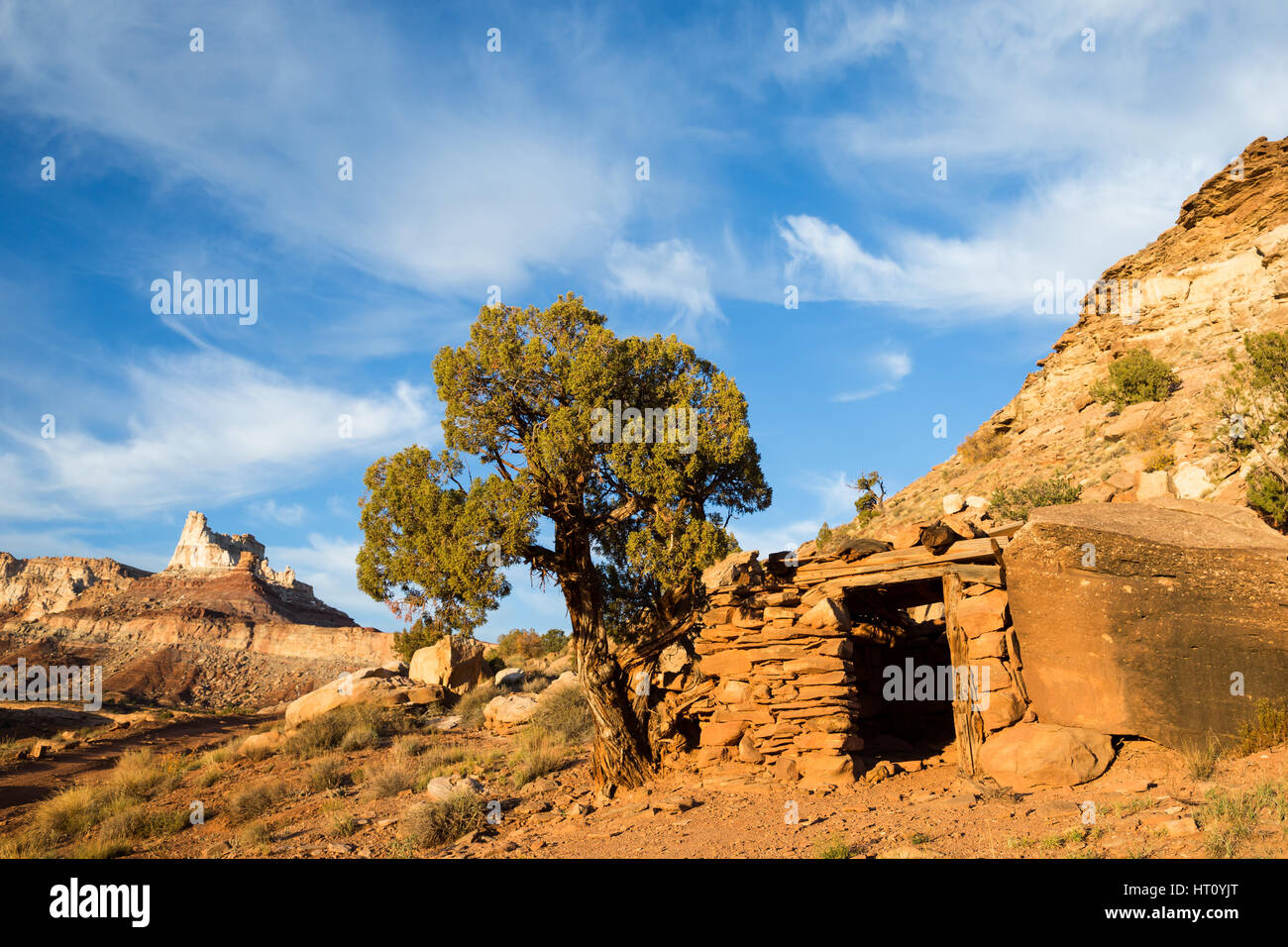 Piccolo edificio tra un masso e ginepro grande albero sotto di Temple Mountain nel sud dello Utah. Il mining camps in San Rafael Swell zona prodotti Foto Stock