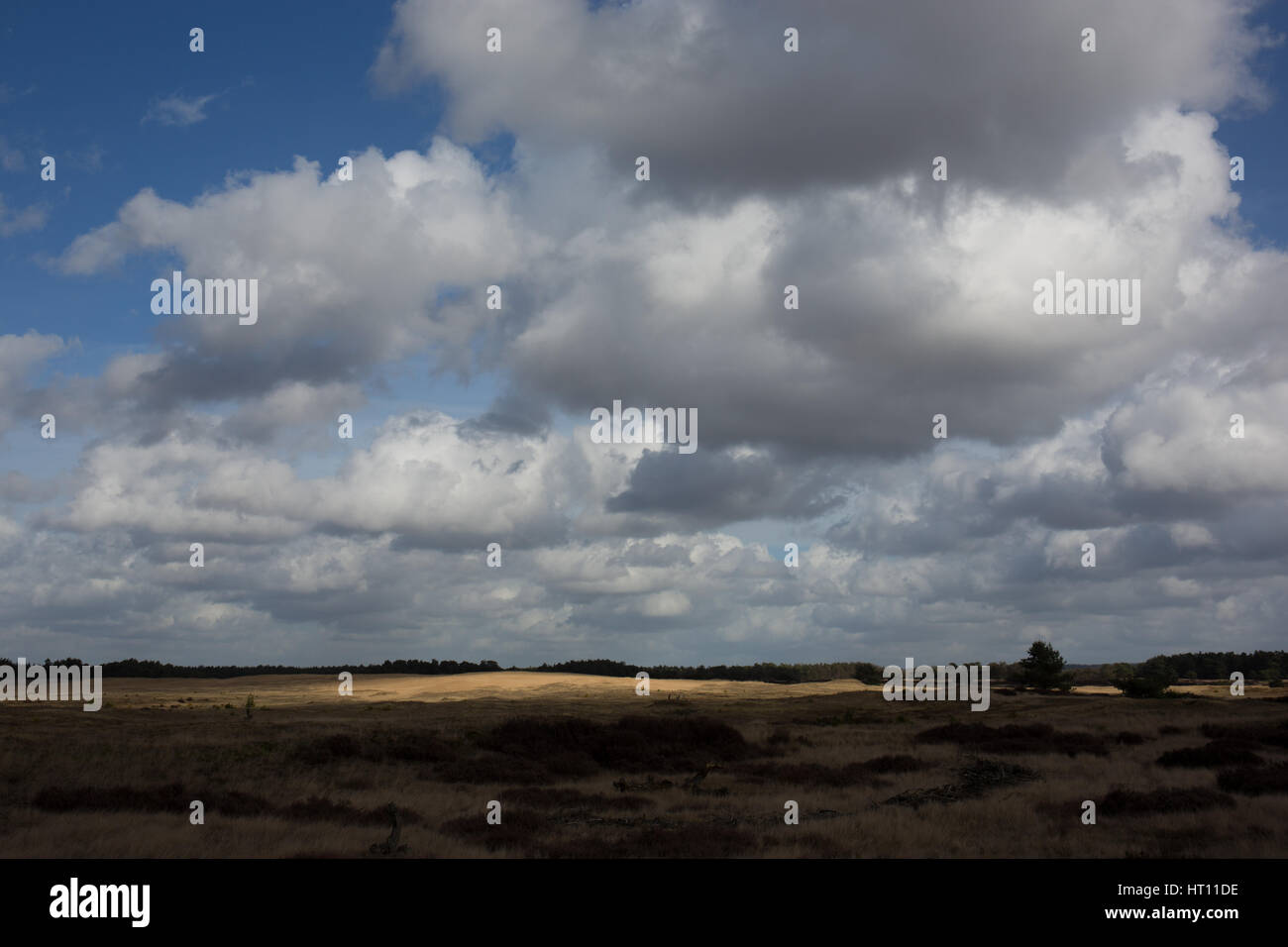 Cielo nuvoloso nel Parco Nazionale di Hoge Veluwe nei Paesi Bassi Foto Stock