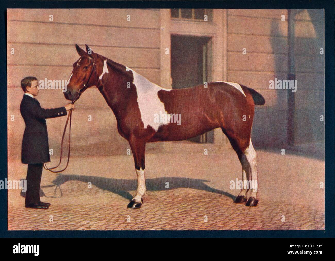 'Una fotografia di un cavallo preso con un obiettivo Zeiss Tessar lens', C1908. Artista: Franz Kuhn. Foto Stock