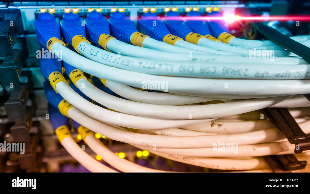 Cavo LAN per collegare switch ethernet a montaggio su rack Foto stock -  Alamy