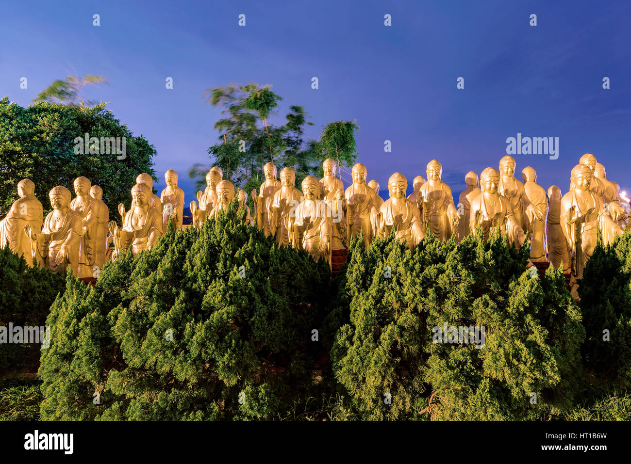 Statue di Buddha con la natura durante la notte Foto Stock