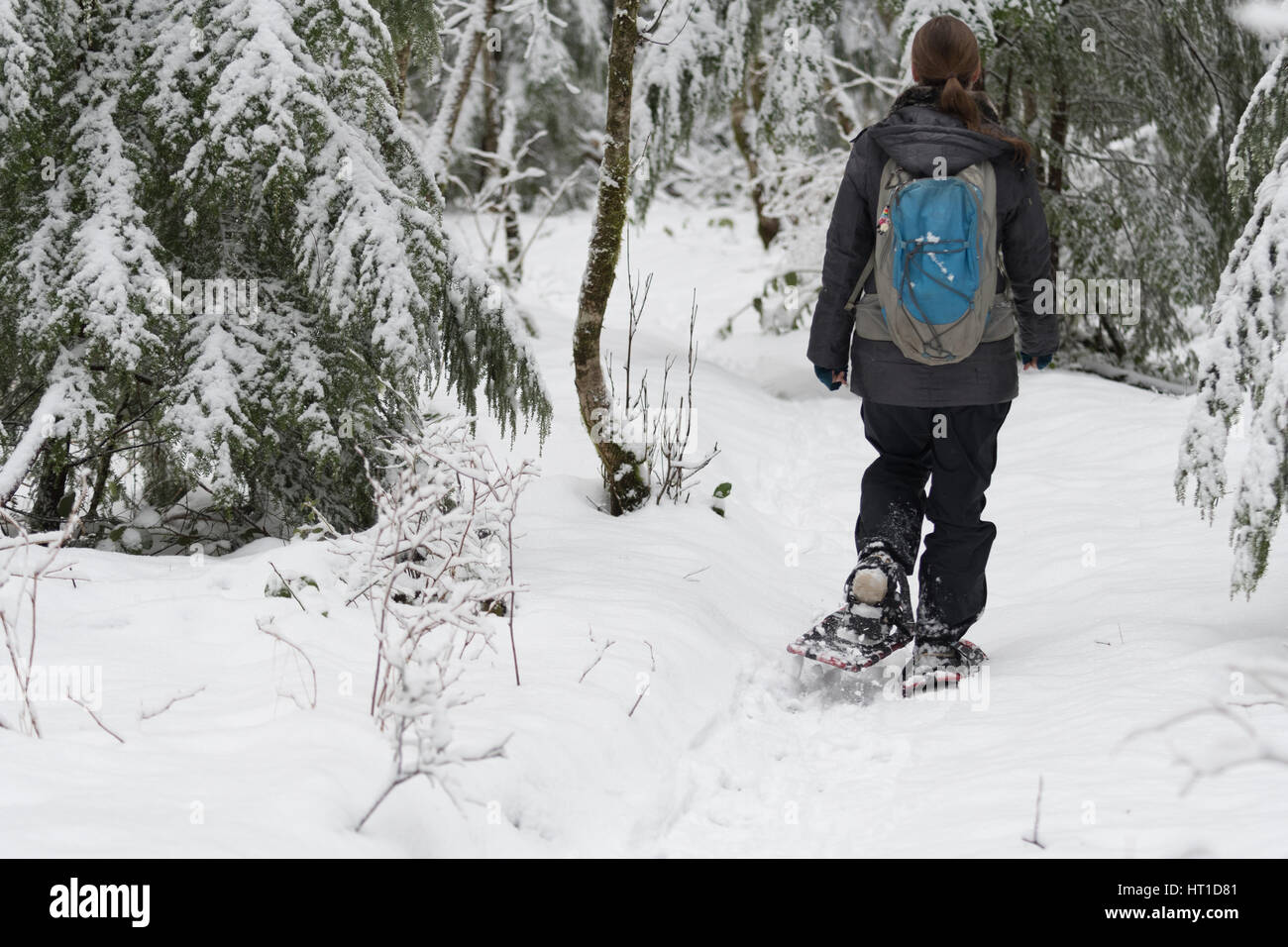 Donna con le racchette da neve con PET in foresta Foto Stock