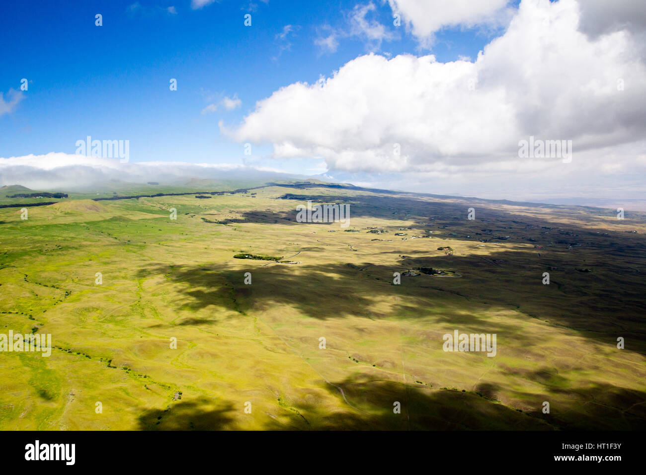 Vista aerea su verdi prati a Nord della Grande Isola, Hawaii, Stati Uniti d'America. Foto Stock