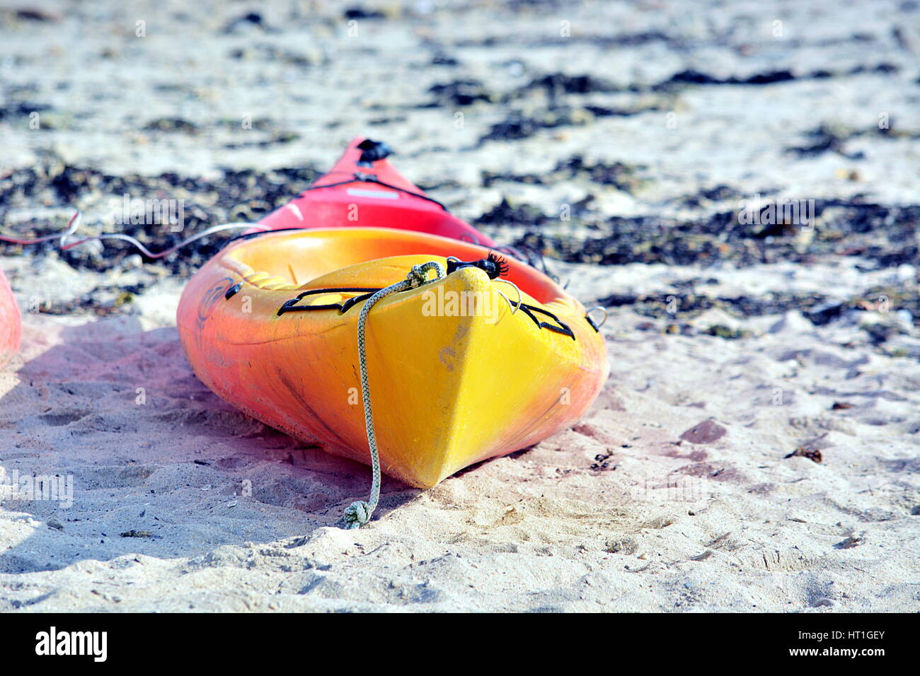 Canoë Kayak sur le sable . Foto Stock