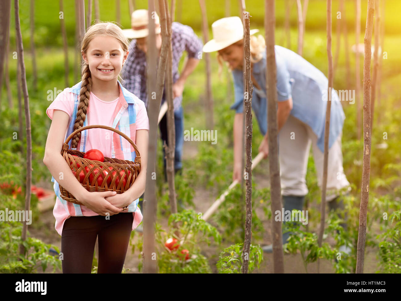 Ragazza tenere il cestello con appena raccolto i pomodori in giardino Foto Stock