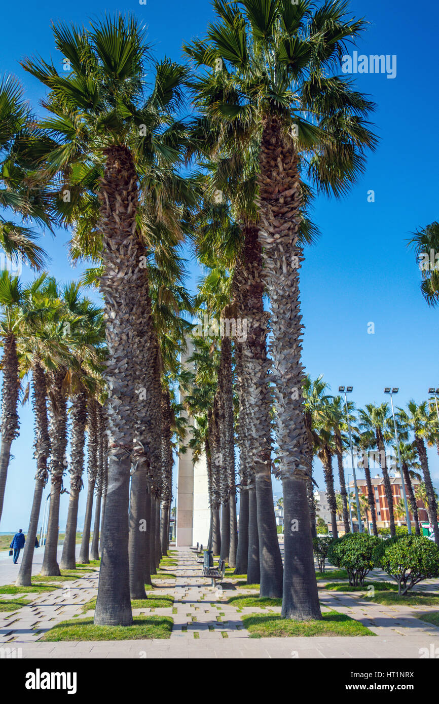 Plaza de las Palmeras, Castelldefels. Catalunya, Spagna Foto Stock
