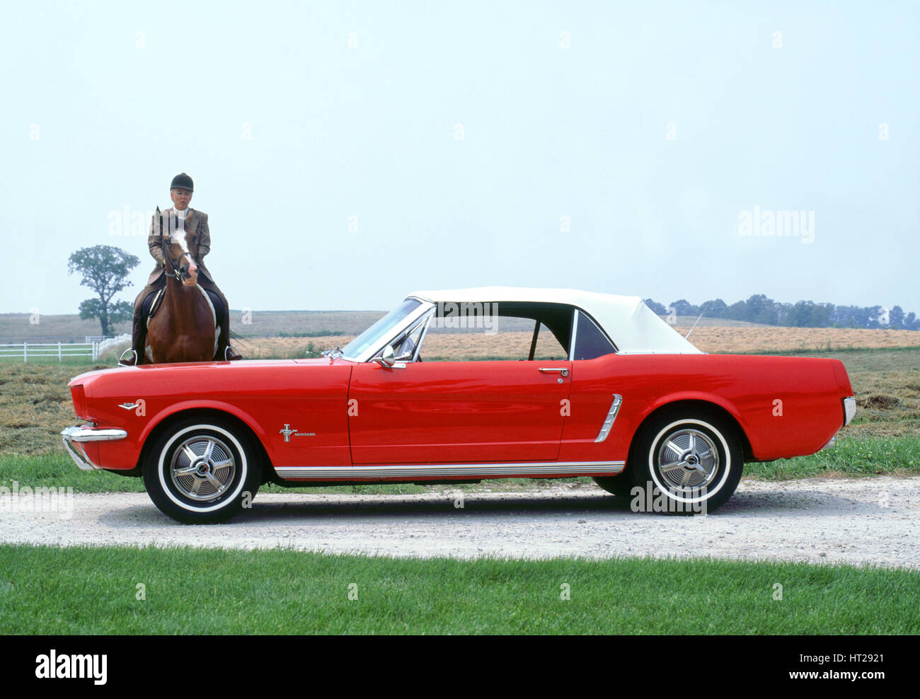 1966 Ford Mustang 289 convertibile. Artista: sconosciuto. Foto Stock
