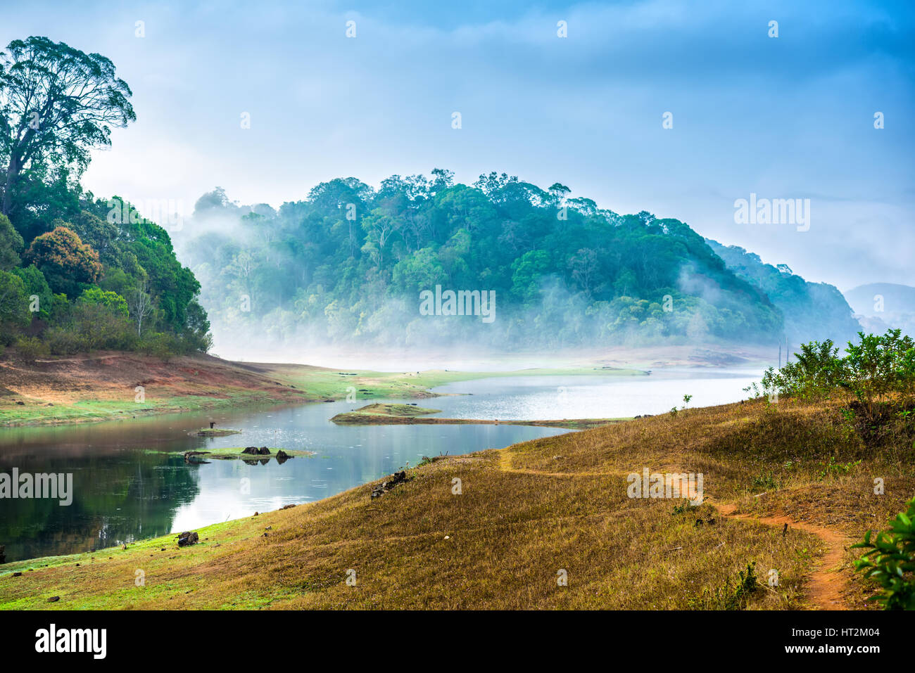 Bellissimo paesaggio selvaggio con la foresta e il fiume con la nebbia in India. Parco Nazionale del Periyar, Kerala, India Foto Stock