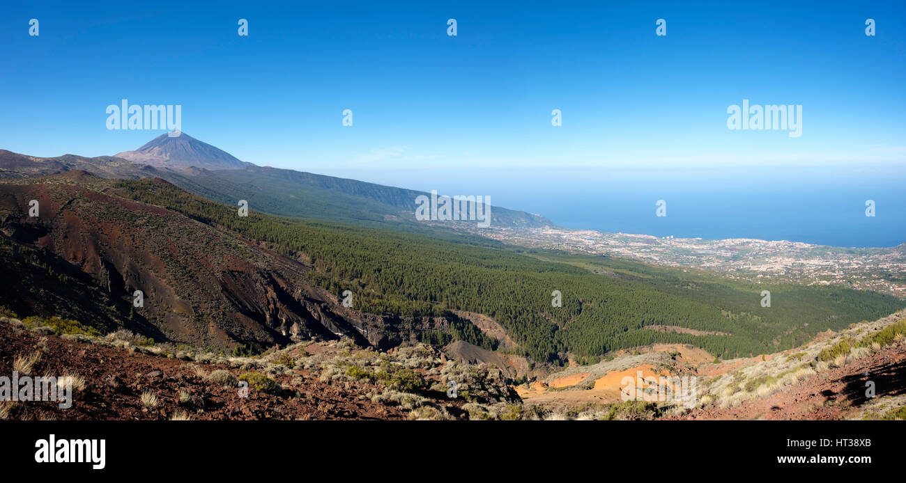 Pico del Teide e della valle di Orotava, Parco Nazionale di Teide Tenerife, Isole Canarie, Spagna Foto Stock