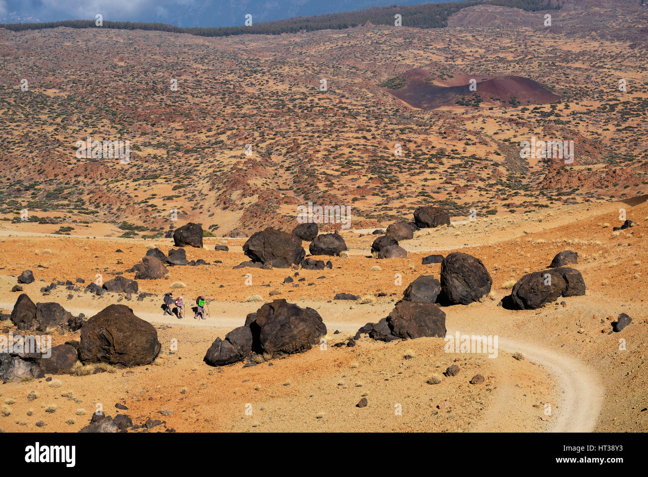 Le sfere di lava Huevos del Teide, sentiero per il Teide, Parco Nazionale di Teide Parque Nacional de las Cañadas del Teide Tenerife Foto Stock