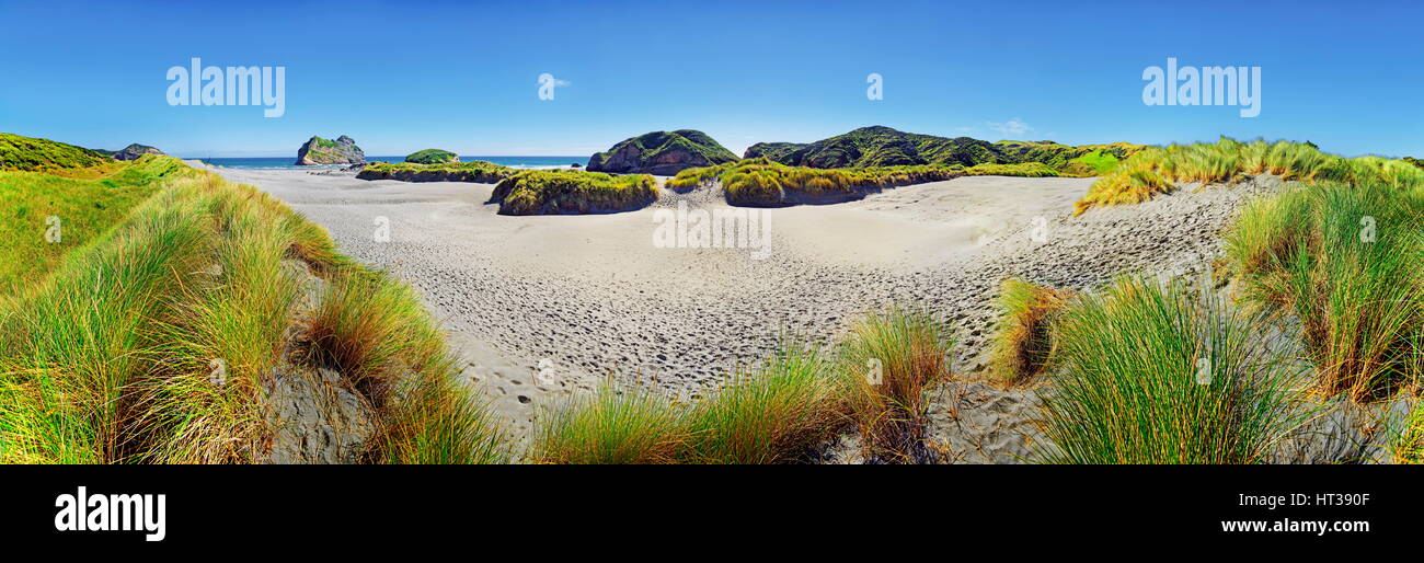 Spiaggia di sabbia con dune erbose, Wharariki Beach, Capo addio, Puponga, regione Tasmania, Southland, Nuova Zelanda Foto Stock