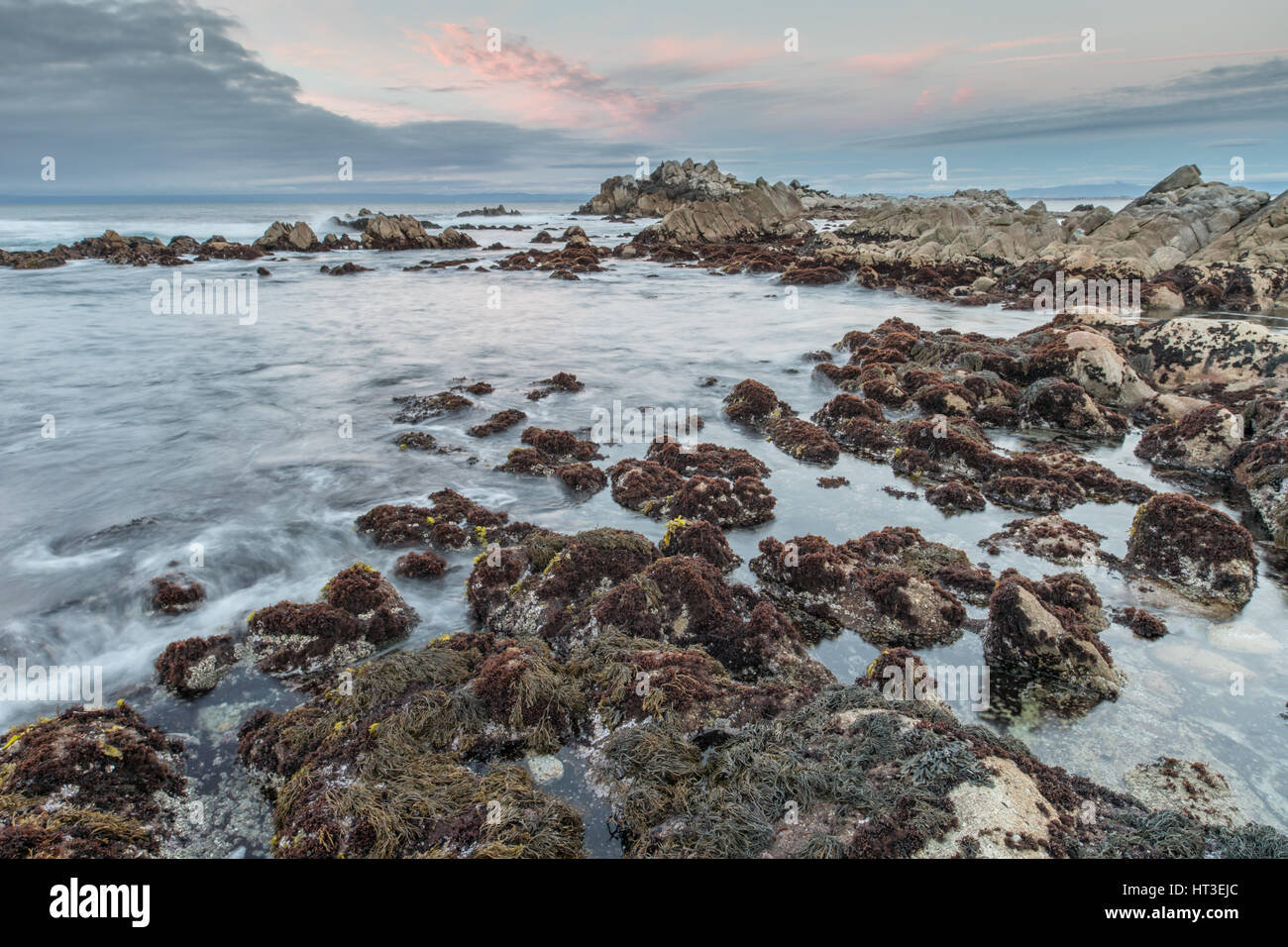 Costa rocciosa tramonto a stato Asilomar Beach Foto Stock