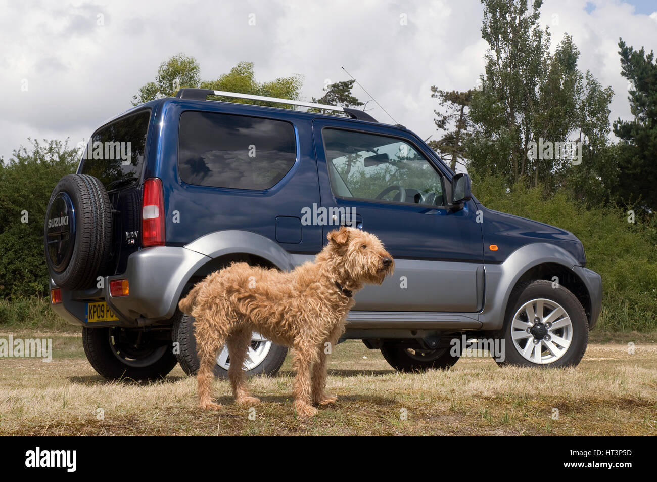 2009 Suzuki Jimny SZ4 con cane Artista: sconosciuto. Foto Stock