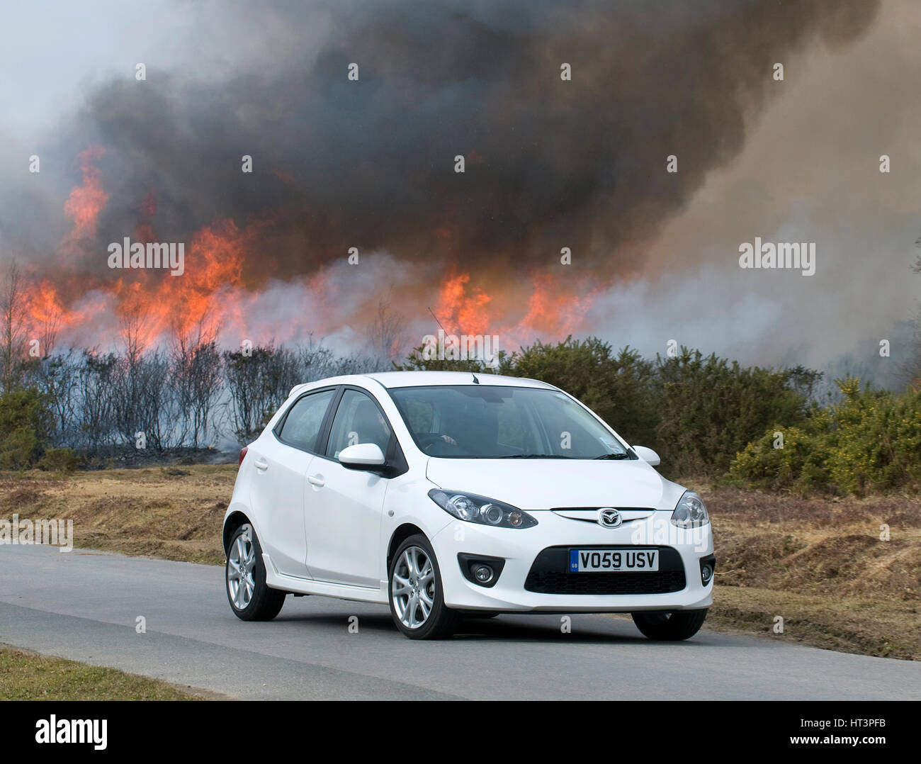 2010 Mazda 2 Sport, bruciando controllato nella nuova foresta Artista: sconosciuto. Foto Stock