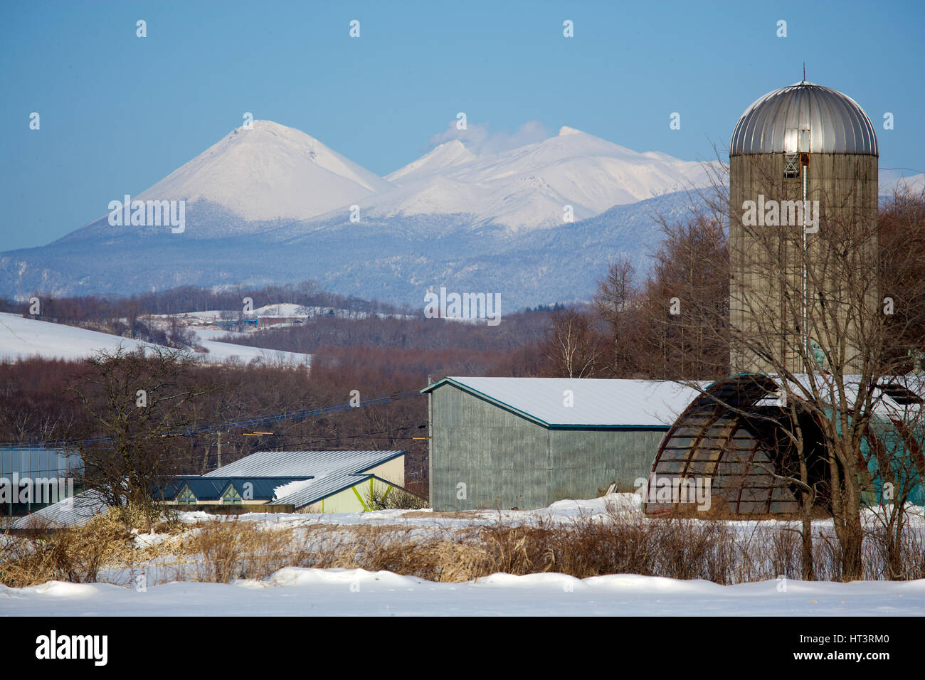Fattoria con silos, Hokkaido, Giappone Foto Stock
