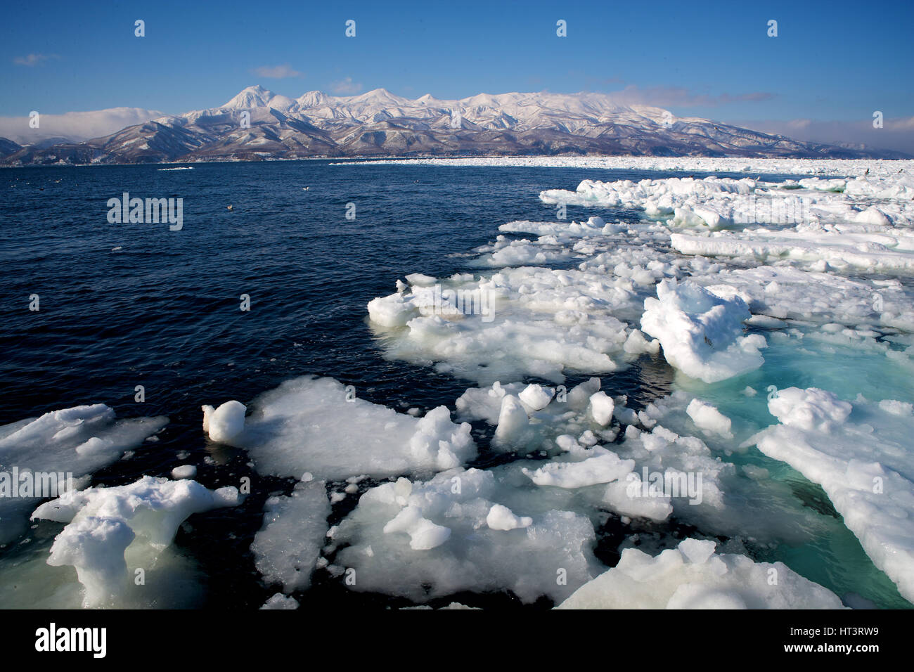 Mare di ghiaccio, il Mare di Ohotsk, vicino a Rausu, Hokkaido, Giappone. Foto Stock