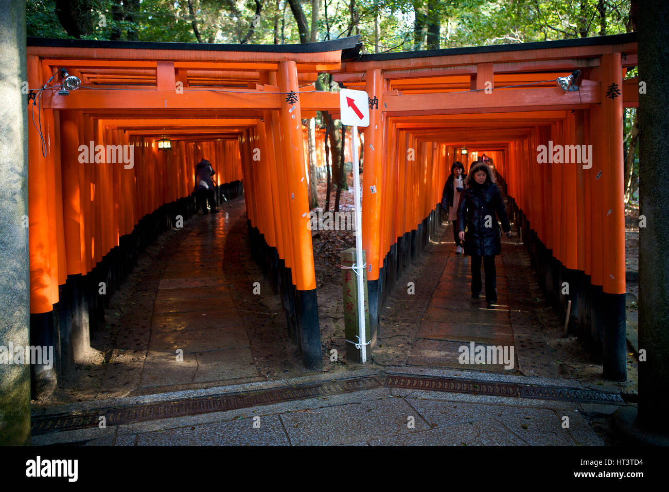 Passaggio formato da molti tore gates A Fushimi-inari Taisha, un famoso Santuario Shinto, Kyoto, Giappone. Girato in memorie di una Geisha. Foto Stock