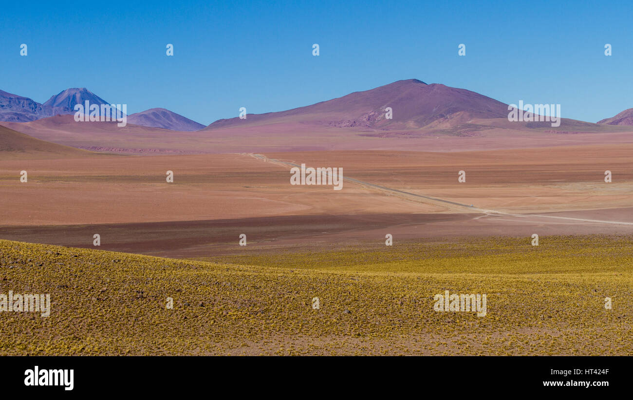 Strada di ghiaia nel paesaggio andino. Posizione: tra San Pedro de Atacama e El Tatio geysir campo, Atacama, nord del Cile Foto Stock Strada di ghiaia nel paesaggio andino. Posizione: tra San Pedro de Atacama e El Tatio geysir campo, Atacama, nord del Cile Foto Stock