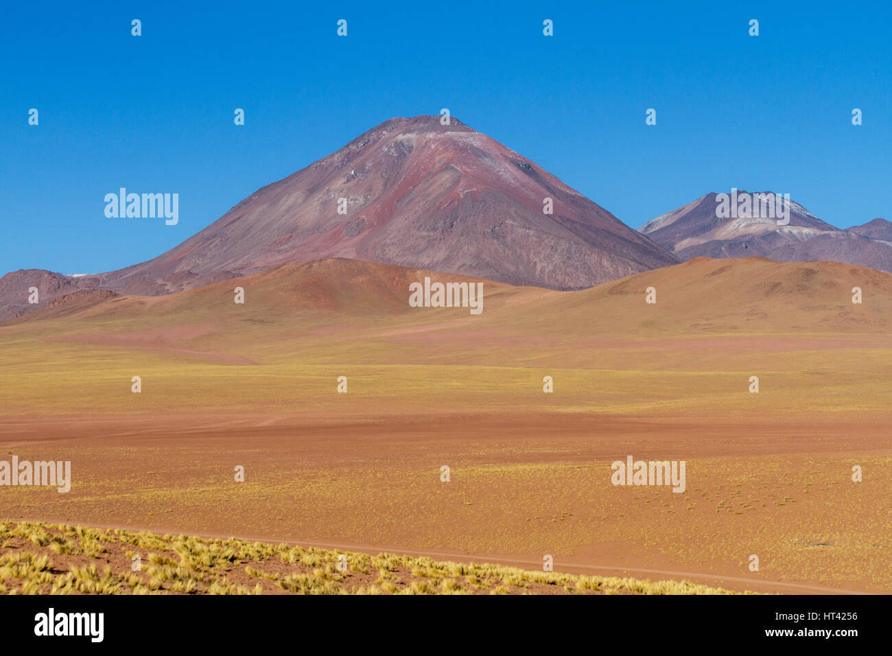 Paesaggio andino, punteggiate di vulcani. Posizione: tra San Pedro de Atacama e El Tatio geysir campo, nel deserto di Atacama, nord del Cile Foto Stock Paesaggio andino, punteggiate di vulcani. Posizione: tra San Pedro de Atacama e El Tatio geysir campo, nel deserto di Atacama, nord del Cile Foto Stock