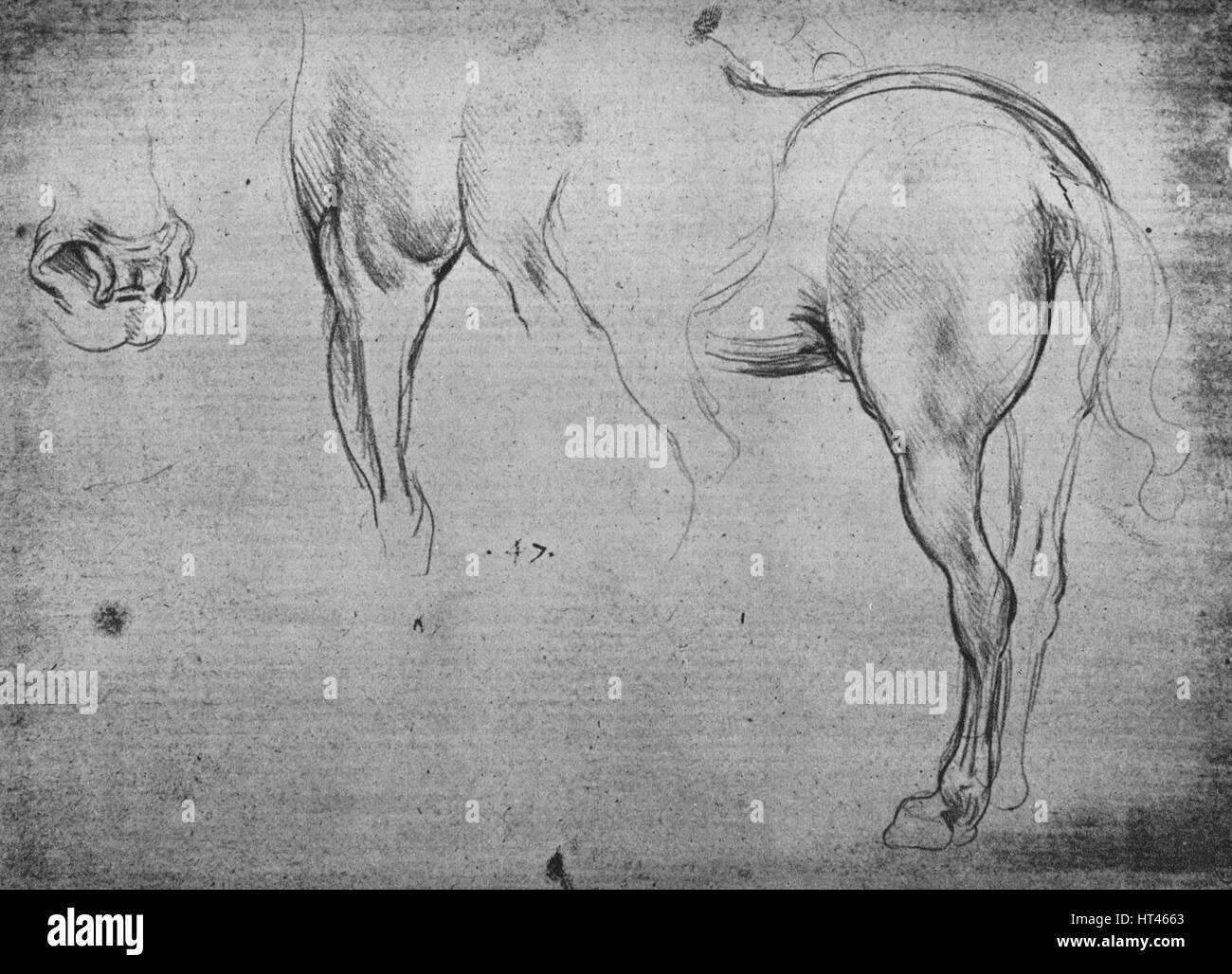 "Tre schizzi di un cavallo's Hind-Quarters e una delle sue narici', C1480 (1945). Artista: Leonardo da Vinci. Foto Stock