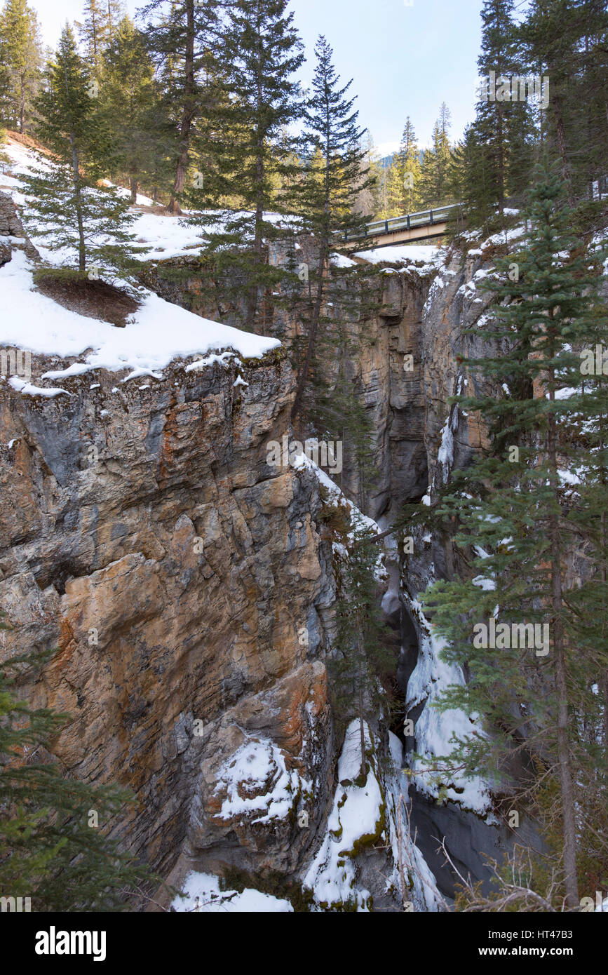 Canyon Maligne Jasper Alberta Foto Stock