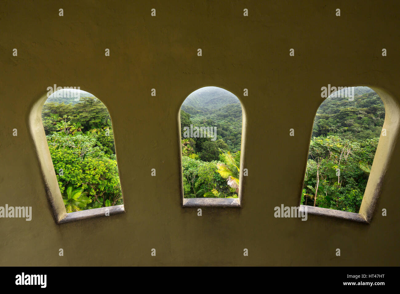 WINDOWS YOKAHU torre di osservazione El Yunque National Forest RIO GRANDE PUERTO RICO Foto Stock