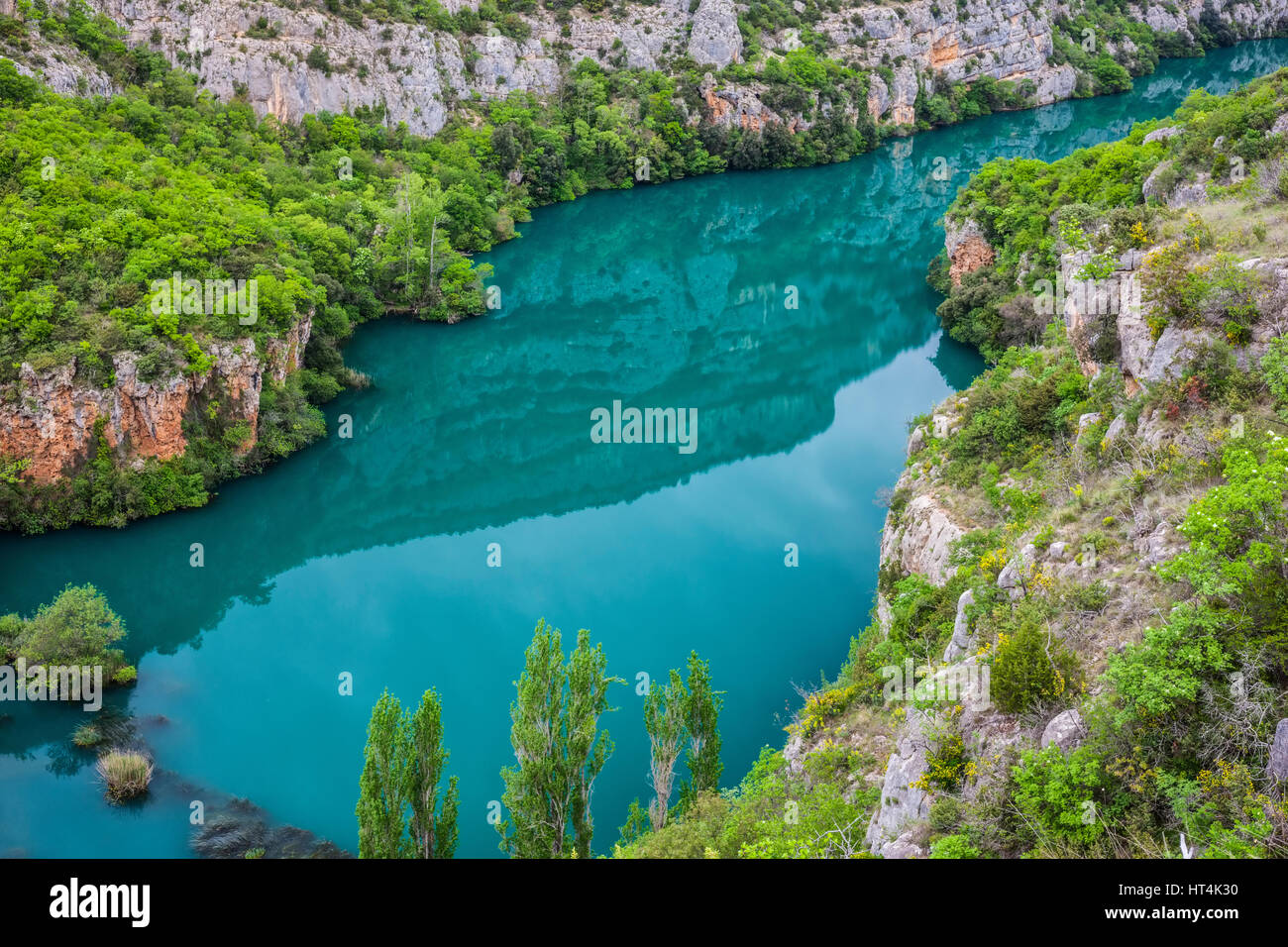 Verde fiume Krka nel parco nazionale di Krka in Croazia Foto Stock