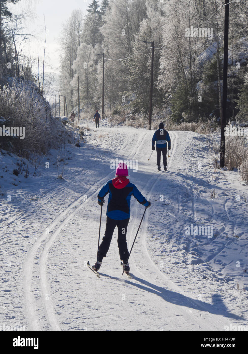 Piste da sci nel bosco su una soleggiata giornata invernale, per molti norvegesi il meglio di un sano stile di vita all'aperto, Oslo Norvegia Foto Stock