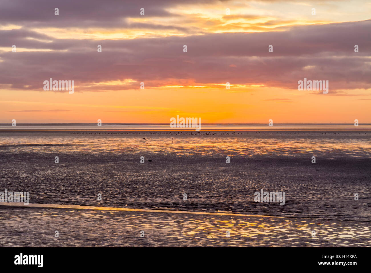 Vista sulla baia al tramonto. Silverdale, Morecambe Bay, Lancashire, Inghilterra. Novembre. Foto Stock