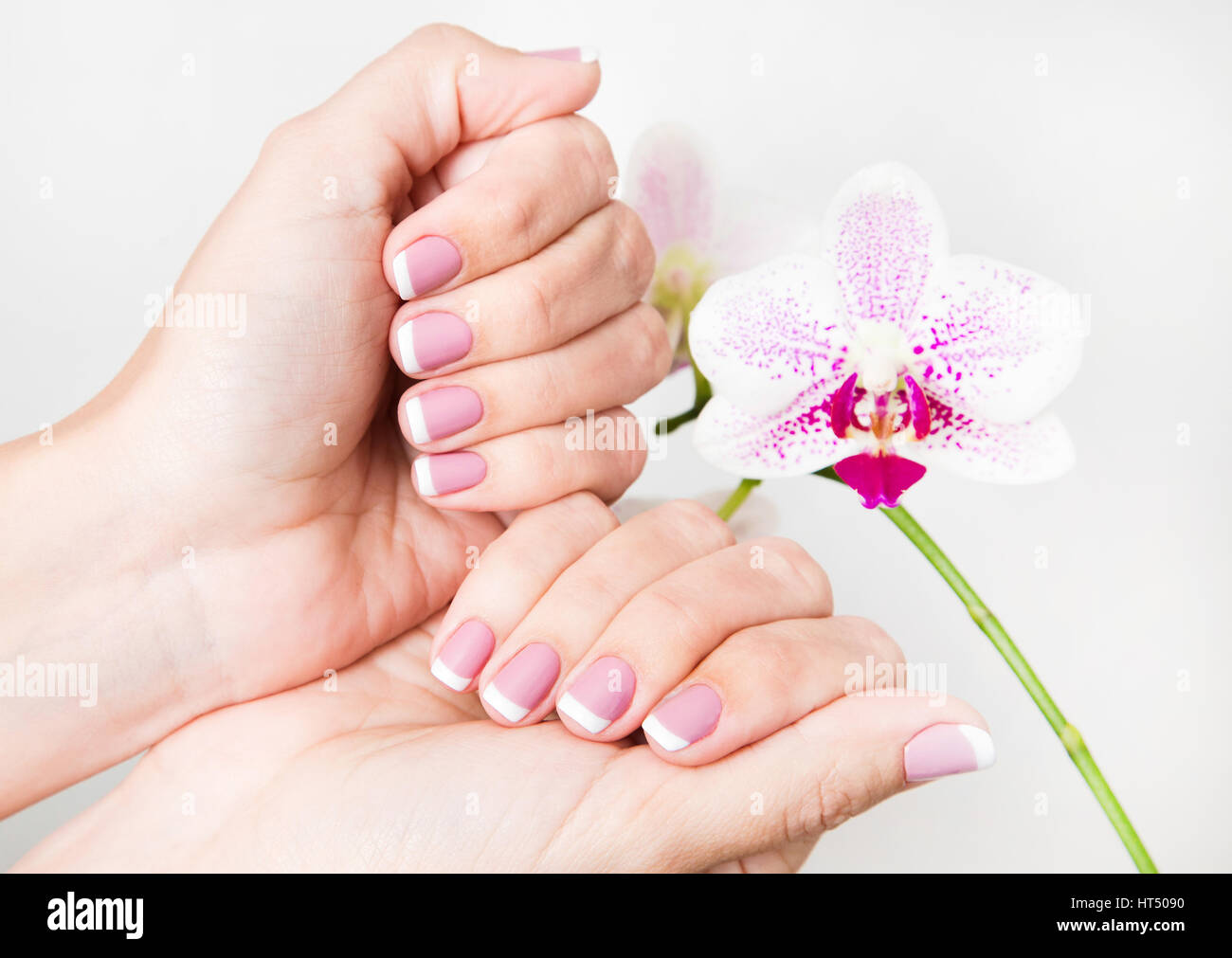 Primo piano delle mani femminili e le dita erano perfetti. Le unghie con french manicure a molla vicino al ramo di orchidea fiori isolati su sfondo bianco. Foto Stock