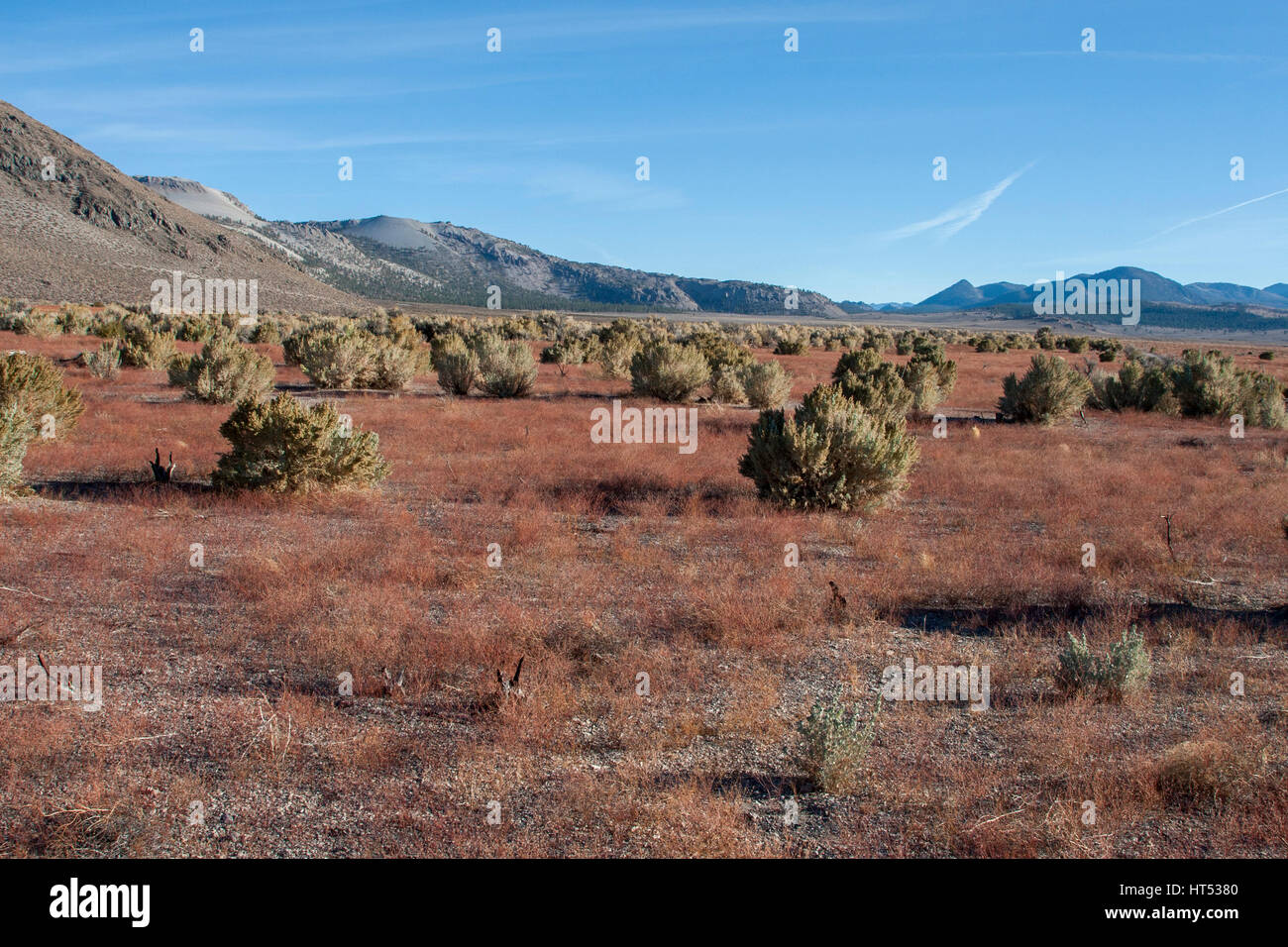 Prendendo un azionamento sull'autostrada 120, andando ad est passato i crateri Mono e Mono Lake, in Mono County, California. Foto Stock