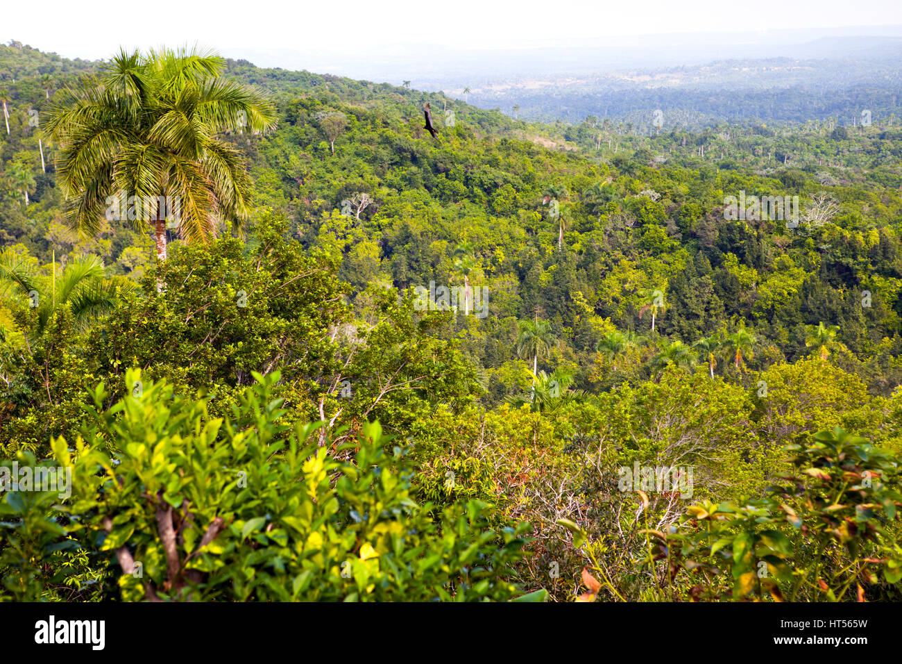 Vista di Las Terrazas in Pinar del Rio Provincia, Cuba Foto Stock