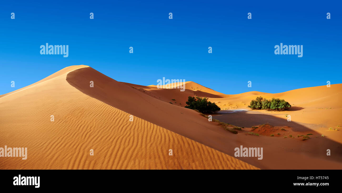 Sahara dune di sabbia di Erg Chebbi Marocco Foto Stock