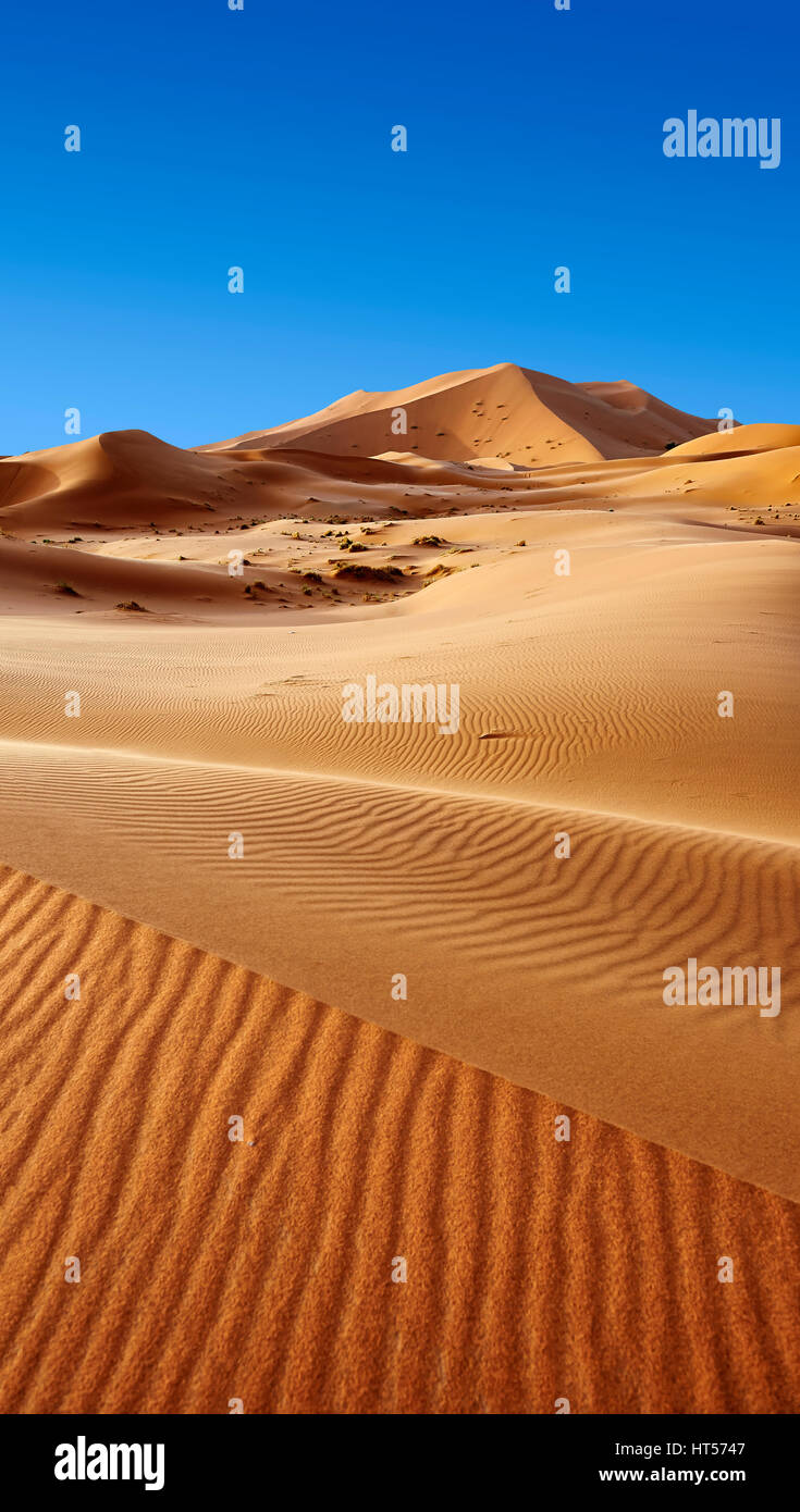 Sahara dune di sabbia di Erg Chebbi Marocco Foto Stock