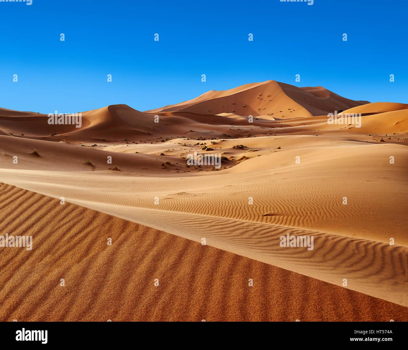 Sahara dune di sabbia di Erg Chebbi Marocco Foto Stock