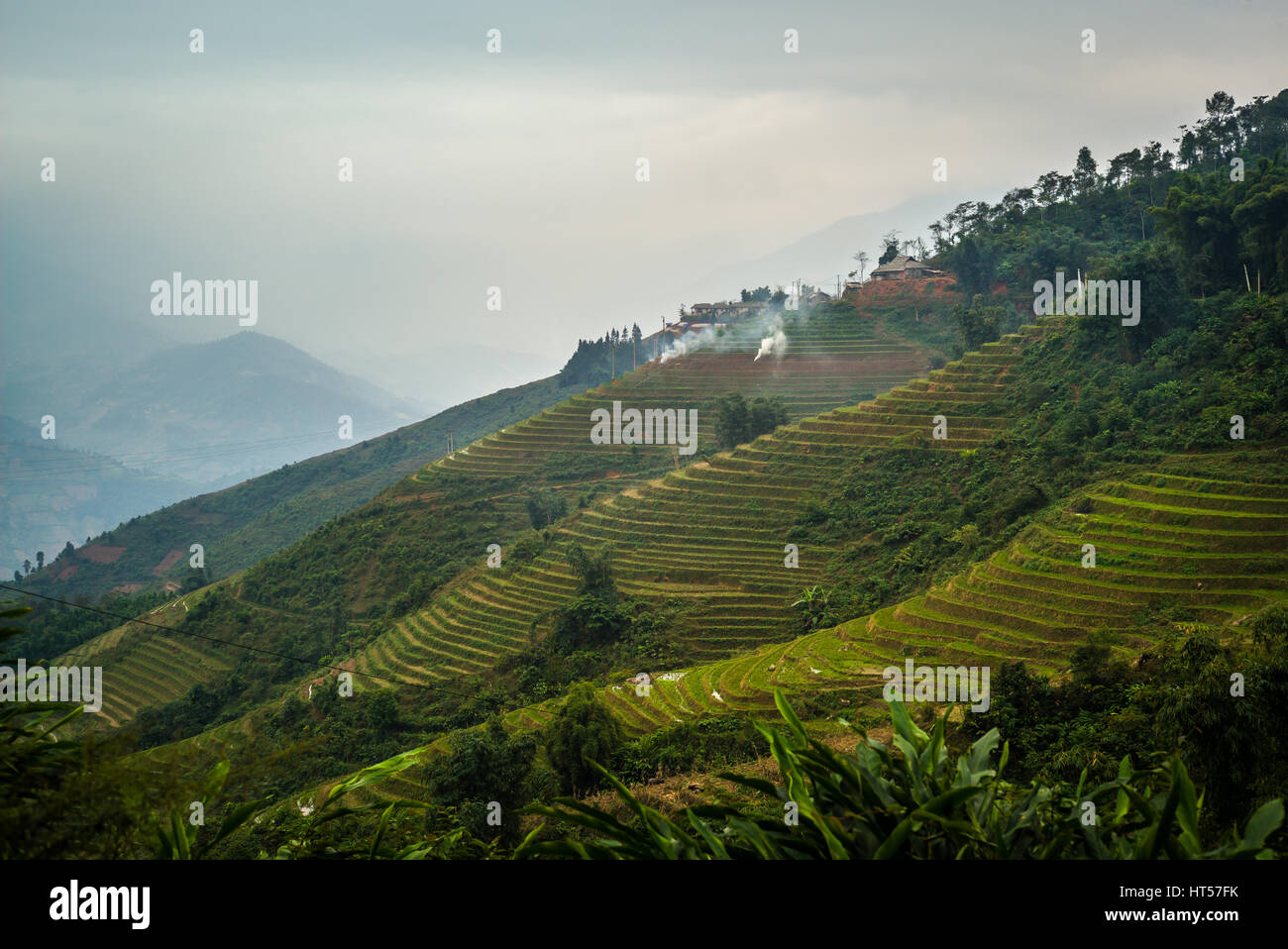 Meravigliose terrazze di riso nelle montagne della regione di Sapa in Vietnam Foto Stock