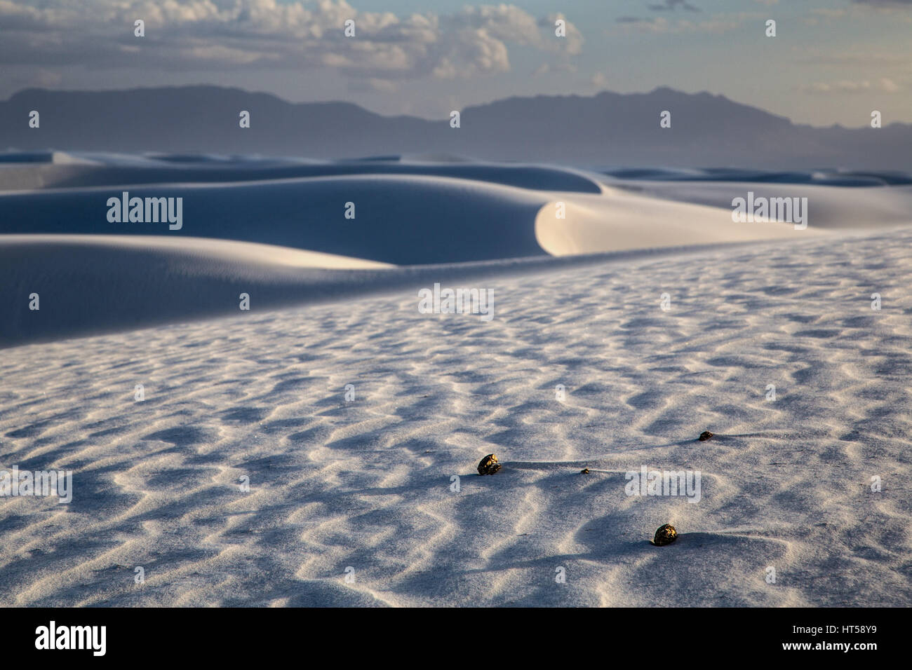 Una tempesta di sabbia nel deserto vicino a Alamogordo, Nuovo Messico adottata nel giugno 2015. Foto Stock