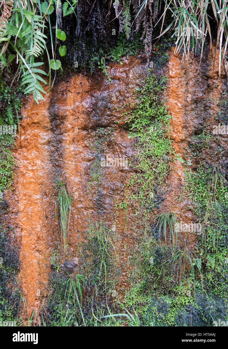 Deposito di ferro. Roccia bagnata faccia, di Madera. Foto Stock