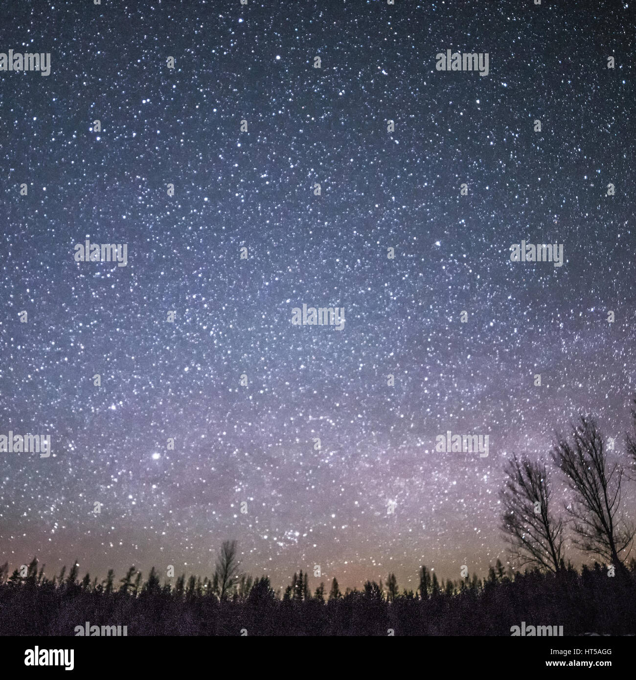 Paesaggio rurale di notte con alberi e stelle asnd neve Foto Stock